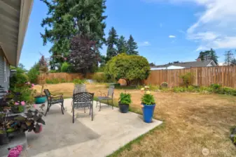 Back yard with concrete patio