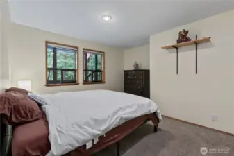 Lower level bedroom (no steps to access)