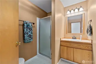 Lower level bathroom (no steps to access)