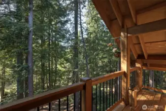 Upper Deck
