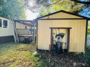 Shed space / back