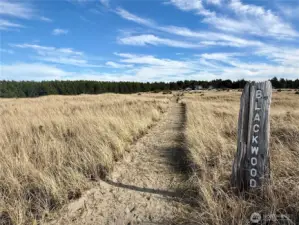 Blackwood Beach is a very lovely place to call home