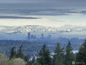 Every night is show.