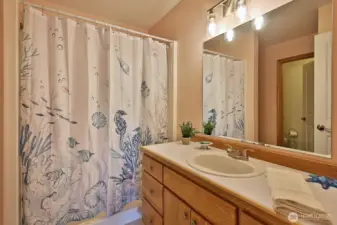 All new knobs on the cabinetry this year!