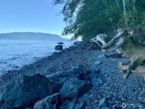 Eagle Lake residents enjoy access to this saltwater beach. It' about a .4 mile hike down to the beach.