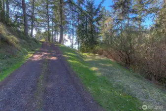 Tsuga Lane on the left and property's potential driveway, on the right.