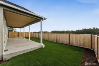 Backyard with Views