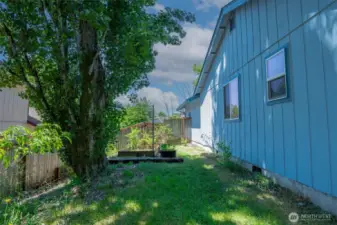 Sunny side yard great for the herb garden and tomatoes!