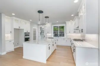 Huge gourmet kitchen with walk-in pantry and door to the backyard