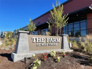 The Farm at Mill Creek and Amazon Go Store.