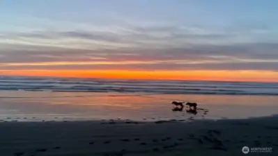 Ocean, sunset views