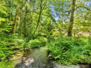 several trails have been cleared out for you