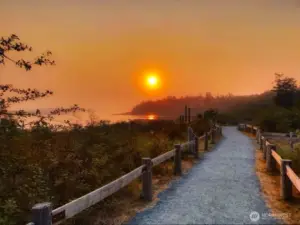The Guemes Channel Trail abounds with natural beauty.