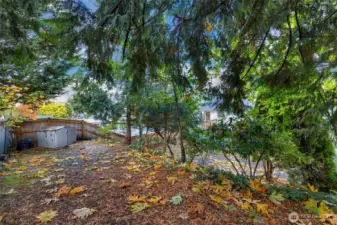 Upper terrace of yard