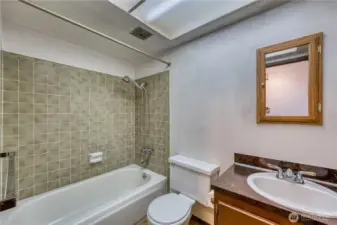 Guest bathroom