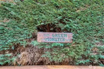 You have to come see the green monster!!!