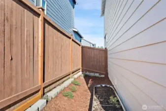 S. Side Yard 2 - maybe for a dog run