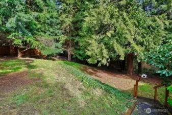 Private, wooded yard