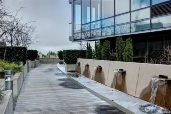 1/2 acre urban garden