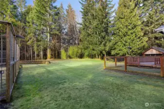 Plenty of sun to provide a healthy lawn - garden on left, dog run to the right.