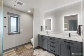 Primary bathroom. Smart lighting controlled by Alexa.
