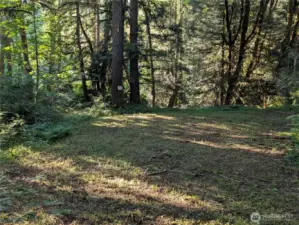 Back of the property has a seasonal stream (not pictured).
