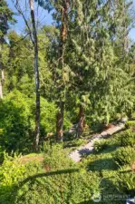 Wooded Trail with Native Landscaping. Follow the charming wooded trail nestled among mature evergreens and lush ferns—leading you to a hidden backyard sanctuary. A peaceful escape just steps from home.