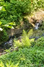 Tranquil Backyard Wildwood Creek.    Enjoy the soothing sounds of a seasonal creek meandering through the lush greenery and the sound of chirping birds —an enchanting feature that adds to the natural serenity and charm of this private woodland retreat.