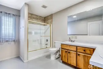 guest bath 2
