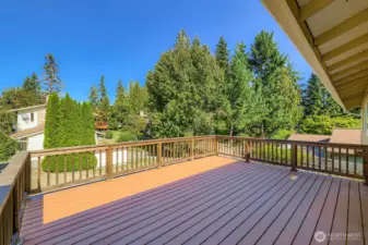 LUXURY BACK DECK IS PREFECT FOR RELAXING OUTSIDE AND BBQ.