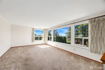 UV blocking roller sun shades / Carpeted