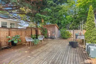 GORGEOUS backyard oasis, completely private and fenced.