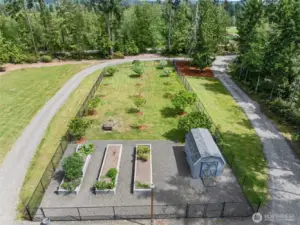 Orchard and raised planter beds, garden shed. Rainier cherries, plum, pear, peach, apple and blueberries, YUMMY!