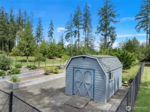 Fully fenced orchard, raised beds and garden shed.
