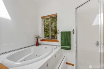 Soaker tub and shower in primary bathroom.