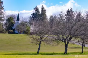 A quiet expanse of meadow gives way to sweeping views—of the historic chapel, wind-shaped trees, and, just beyond, the shimmering waters of Puget Sound. From sunrise to fog-draped dusk, Discovery Park offers a rotating gallery of vistas: Olympic peaks, passing ships, and the ever-changing drama of sea and sky.