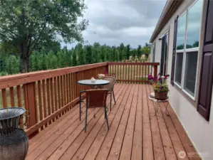 Back Deck