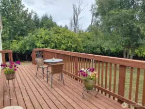 Back Deck