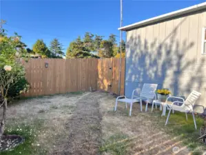 Back Side yard