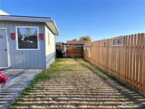 Back yard