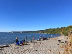 Walk to the beach!