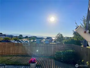 View from back yard