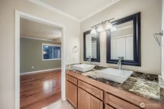 Primary bathroom