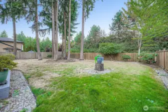 Large fully fenced back yard
