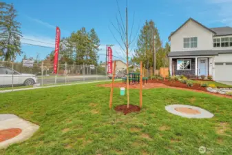 Community Park