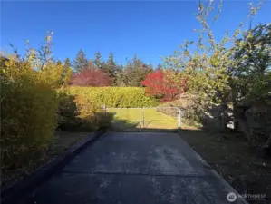 Fenced in backyard, perfect for your furry friend.