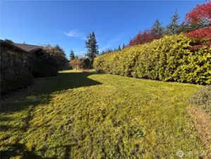 Good size backyard, fenced in with garden