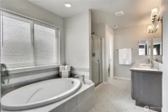 Separate soaker tub and shower.