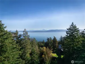 Trees cleared to maximize the view from the would be second story living room window
