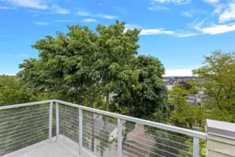 Roof with Lake View